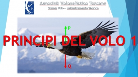 Materia Specifica Aliante EASA I - Principi del volo (lezione 1/3) - AEROCLUB VOLOVELISTICO TOSCANO